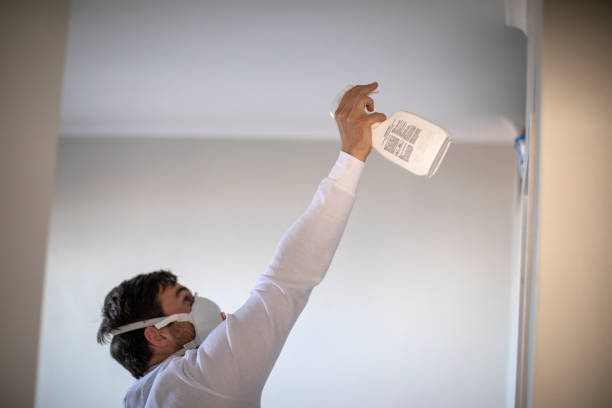 Best White Mold Remediation in Ravenel, SC