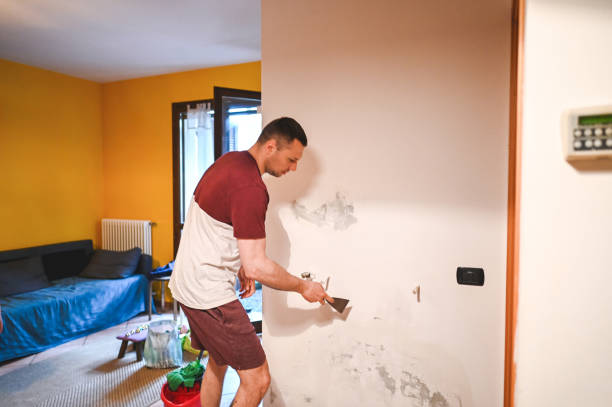 Best Residential Mold Remediation in Ravenel, SC